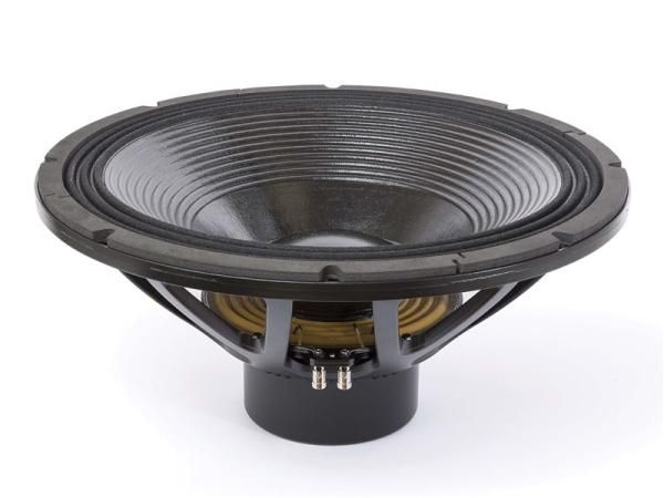 21NLW9001 - 21 Zoll Subwoofer - 8 Ohm