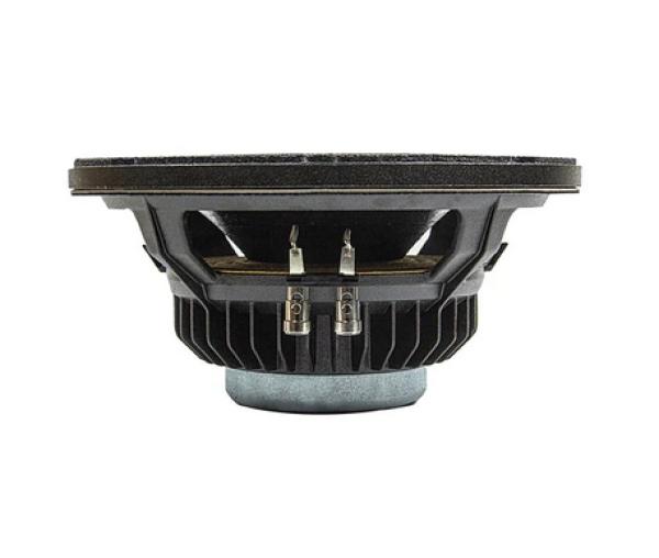 Preview: Eminence CannaBass CB3010N - 10" Bass Gitarre Lautsprecher