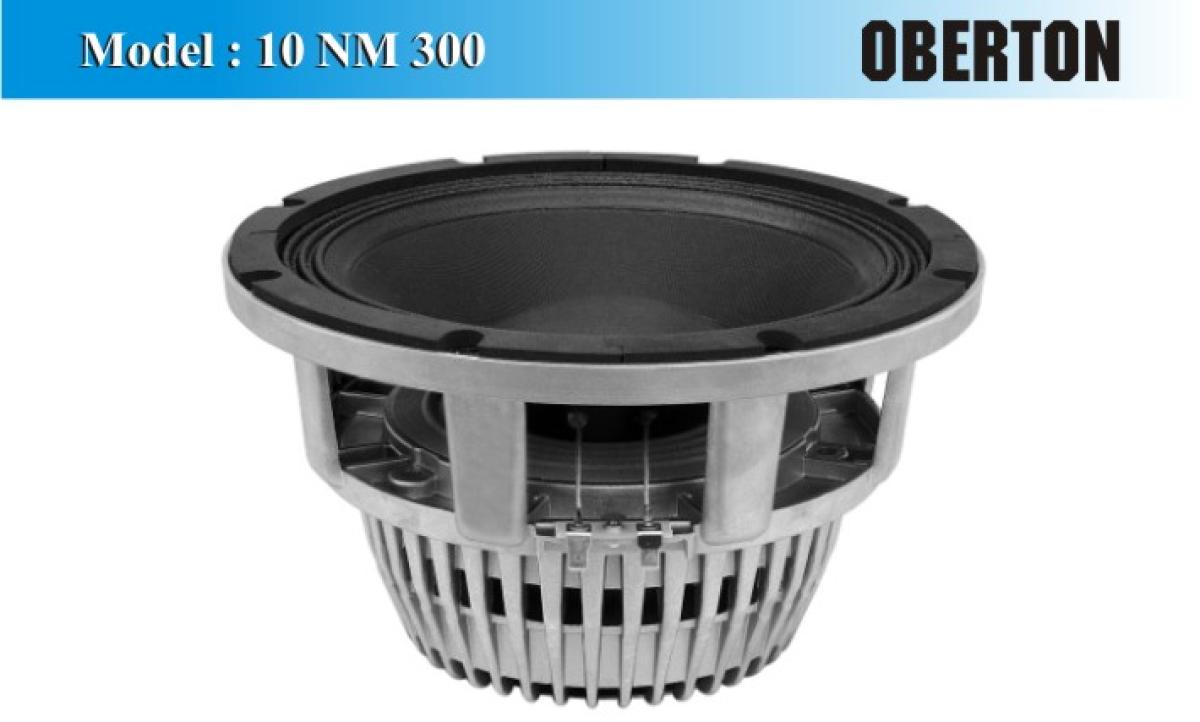 Oberton 10NM300