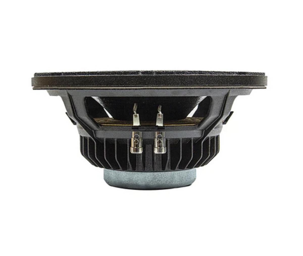 Eminence CannaBass CB3010N - 10" Bass Gitarre Lautsprecher